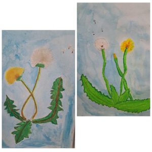 Pusteblume