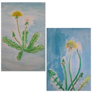 Pusteblumen