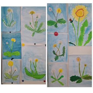 Mehrere Pusteblumenbilder