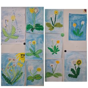 Pusteblumenbilder